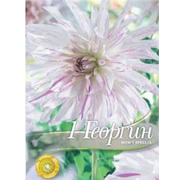 Георгина Мом`з Специал