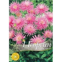 Георгина Парк Принцесс