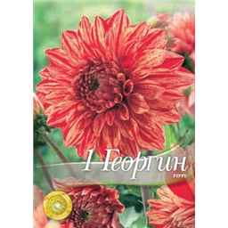 Георгина Пиппи