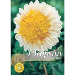 Георгина Пасо Добль