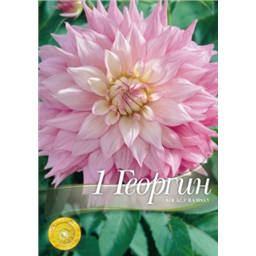 Георгина Сэр Альф Рамзэу