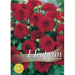 Георгина Сингер