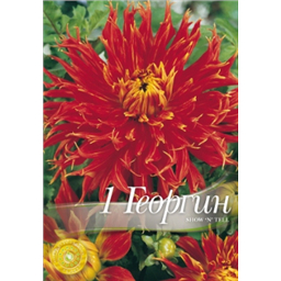 Георгина Сноун-Телл