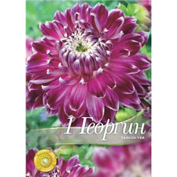 Георгина Ванкувер