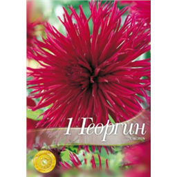 Георгина Учин