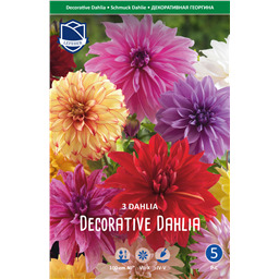 Георгины Смесь Декоративных