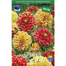 Георгины Смесь Карнавал