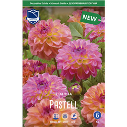 Георгины Смесь Пастель
