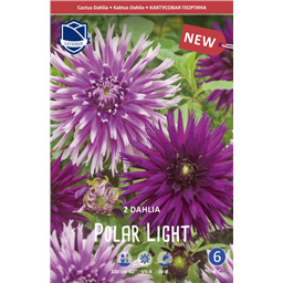 Георгины Смесь Полар Лайт