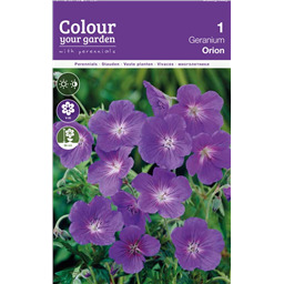 Гераниум Орион