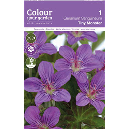 Гераниум Тайни Монстр