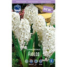 Гиацинт Айолос 