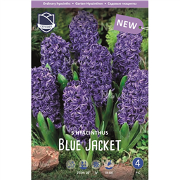 Гиацинт Блю Джекет