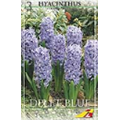 Гиацинт Делфтс Блау(упаковка мини)