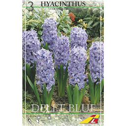 Гиацинт Делфтс Блау(упаковка мини)
