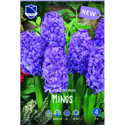 Гиацинт Минос