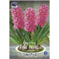 Гиацинт Пинк Перл