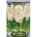 Гиацинт Уайт Перл