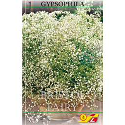 Гипсофила Бристол Фери