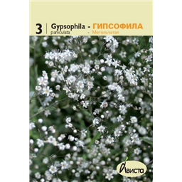 Гипсофила метельчатая