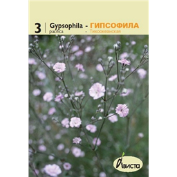 Гипсофила тихоокеанская