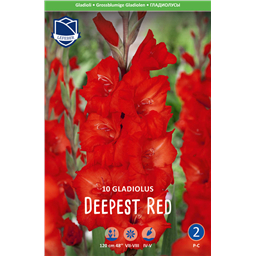 Гладиолус Дипист Ред