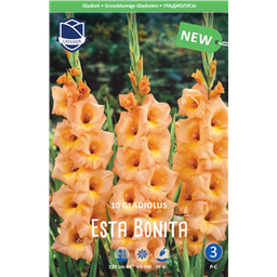 Гладиолус Эста Бонита