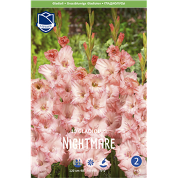 Гладиолус Найтмэр