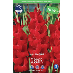 Гладиолус Оскар
