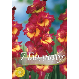 Гладиолус Фар Вест