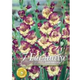 Гладиолус Флево Лагуна