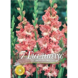 Гладиолус Фриззелед Корал Лейс