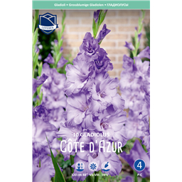 Гладиолус Кот де Азур