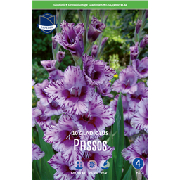 Гладиолус Пассос