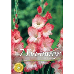 Гладиолус Плюм Тарт