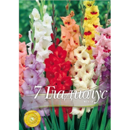 Гладиолусы смесь
