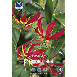 Глориоза Ротшильда