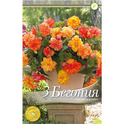 Голден Бэлкони