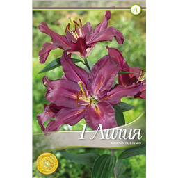 Гран Туризмо