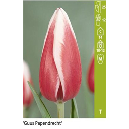 Гус Папендрихт