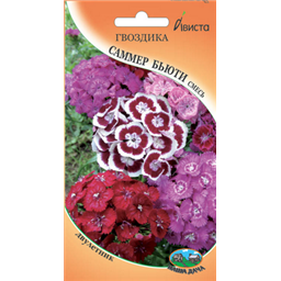 Гвоздика Самер бьюти смесь (Вариант)