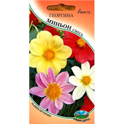 Георгина Миньон смесь