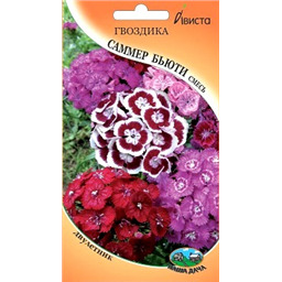 Гвоздика Саммер бьюти смесь