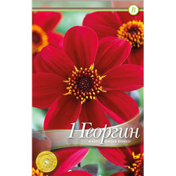 Хэппи Сингл Ромео