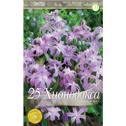 Хионодокса Вайолет Бьюти