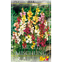 Иксия смесь