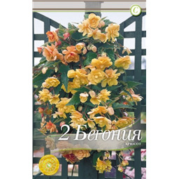 Иллюминейшн Эприкот