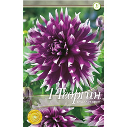 Инглэндс Глори