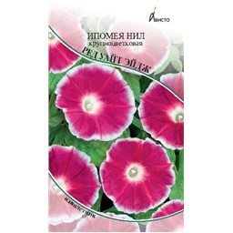 Ипомея  Нил  Ред  Уайт Эйдж  крупноцветковая