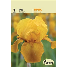Ирис Бронзаир
